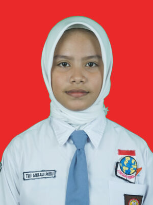 Seleksi Nasional Penerimaan Mahasiswa Baru Th. 2025 Seleksi Nasional Penerimaan Mahasiswa Baru Th. 2025